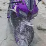 Lavado de motos