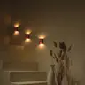 Аренда зала Интерьерный