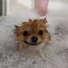 Купання