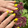 Френч, аерографія (1 ніготь)