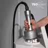Ендосфера