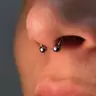 Септум