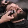 Моделювання бороди