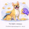 Експрес-линька (Собаки короткошерсті 5 - 10 кг)