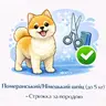 Померанський шпіц (до 5 кг) - Стрижка за породою