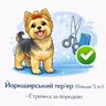 Йоркширський тер’єр (більше 5 кг) - Стрижка за породою