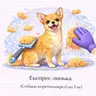 Експрес-линька (Собаки короткошерсті до 5 кг)