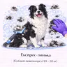 Експрес-линька (Собаки довгошерсті 10 - 20 кг)