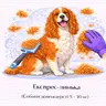Експрес-линька (Собаки довгошерсті 5 - 10 кг)
