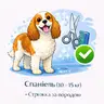Спанієль (10 - 15 кг) - Стрижка за породою