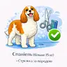 Спанієль (більше 15 кг) - Стрижка за породою
