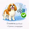 Спанієль (до 10 кг) - Стрижка за породою