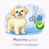 Мальтіпу (до 5 кг) - Стрижка за породою