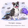 Експрес-линька (Собаки короткошерсті 10 - 20 кг)