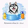 Купання собак (10 - 20 кг)