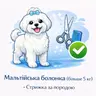 Мальтійська болонка (більше 5 кг) - Стрижка за породою