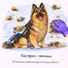 Експрес-линька (Собаки довгошерсті більше 20 кг)