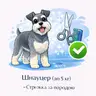 Шнауцер (до 5 кг) - Стрижка за породою