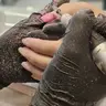 Зняття покриття (за потреби)