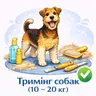 Тримінг собак (10-20 кг)