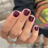 Shellac Complete