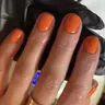 Regular Polish Complete