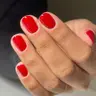 Shellac Express