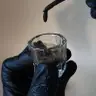 Фарбування вій