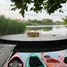 Коло на воді