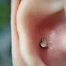 Conch