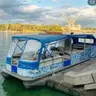Індивідуальна прогулянка | 1 год. | Парен