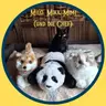Interaktive Tierfreunde: Mika, Mimi & Milo (Trio)