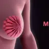 Пакет мамологічний