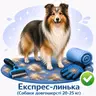 Експрес-линька (Собаки довгошерсті 20-25 кг)