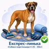 Експрес-линька (Собаки короткошерсті 25 - 30кг)