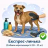 Експрес-линька (Собаки короткошерсті 20 - 25кг)