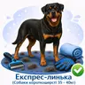 Експрес-линька (Собаки короткошерсті 35 - 40кг)