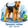 Тримінг собак (30 - 35 кг)