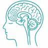 Бас мидың МРТ-сы эпилепсия режимімен