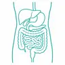 Іш қуысы ағзаларының МРТ-сы + MRCP (өт жолдарының зерттеуі)