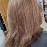 Brushing