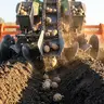 Посадка картоплі