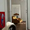 Vlasna + Vitalnya
