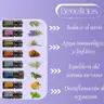 Aromatouch