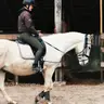 Індивідуальний урок верхової їзди + Догляд за конем