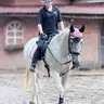 Груповий урок верхової їзди (Демо)