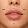 Labret / Madonna / Monroe / Medusa: 55 €