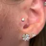 Tragus: 50 €