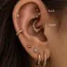 Rook / Daith: 55 €