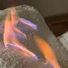 Вогняний масаж